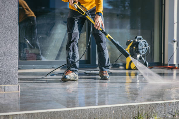 Best Animal Enclosure Cleaning  in Belle Glade, FL